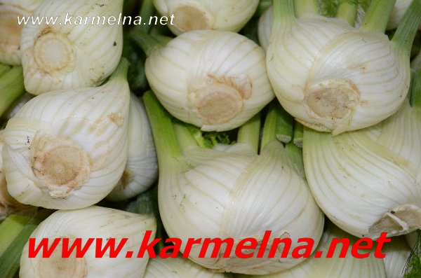 خضار وفواكة ربيع ابو الزلف
